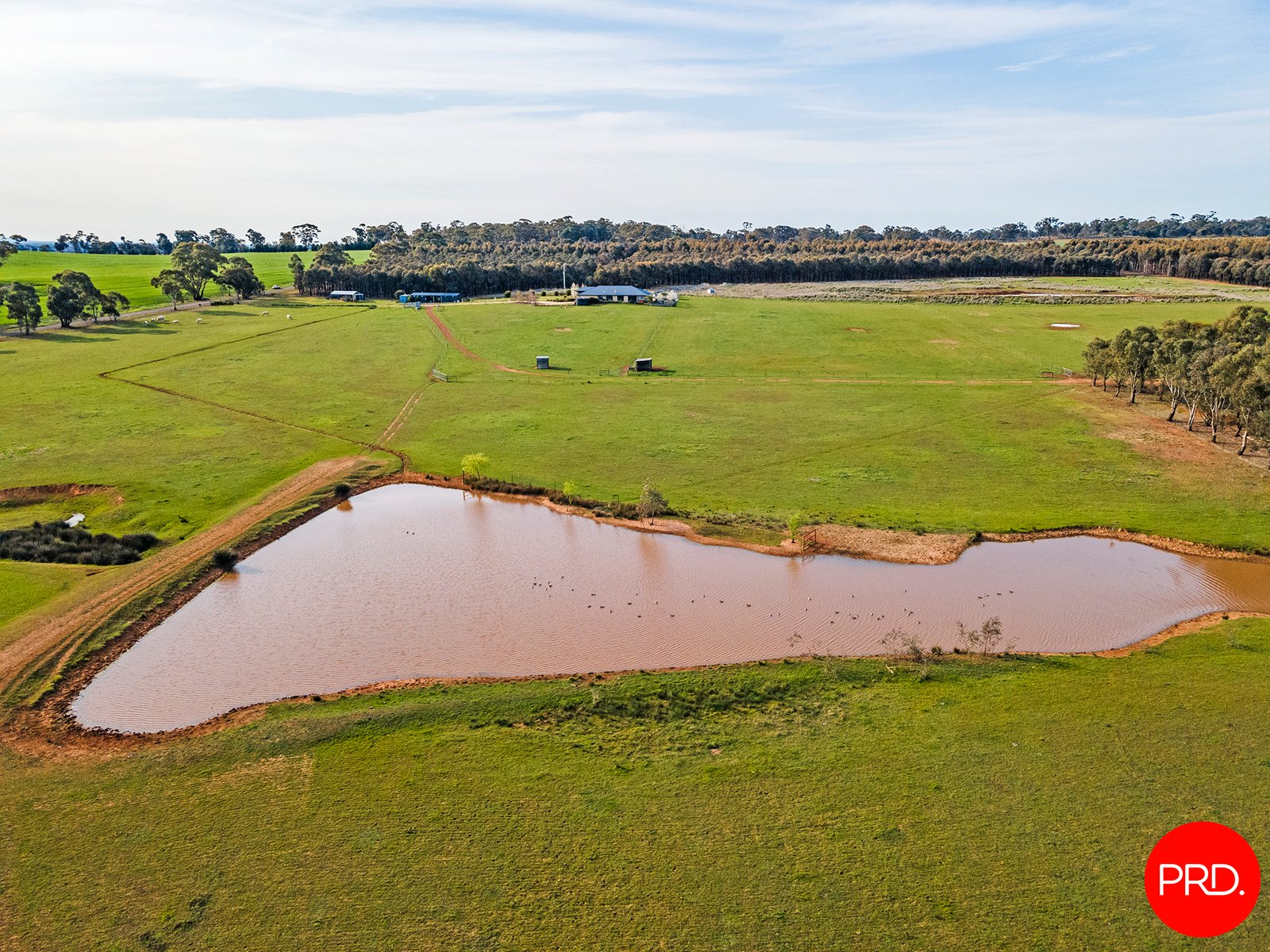 44 Neivandts Road SHELBOURNE 33