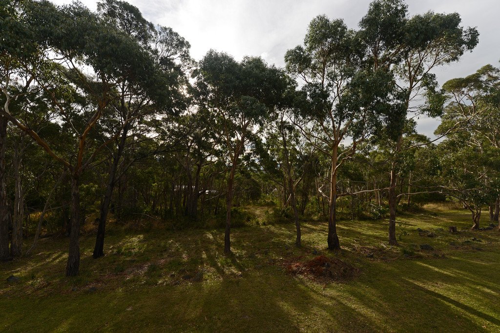 4/4 Onslow Place MOUNT NELSON 12