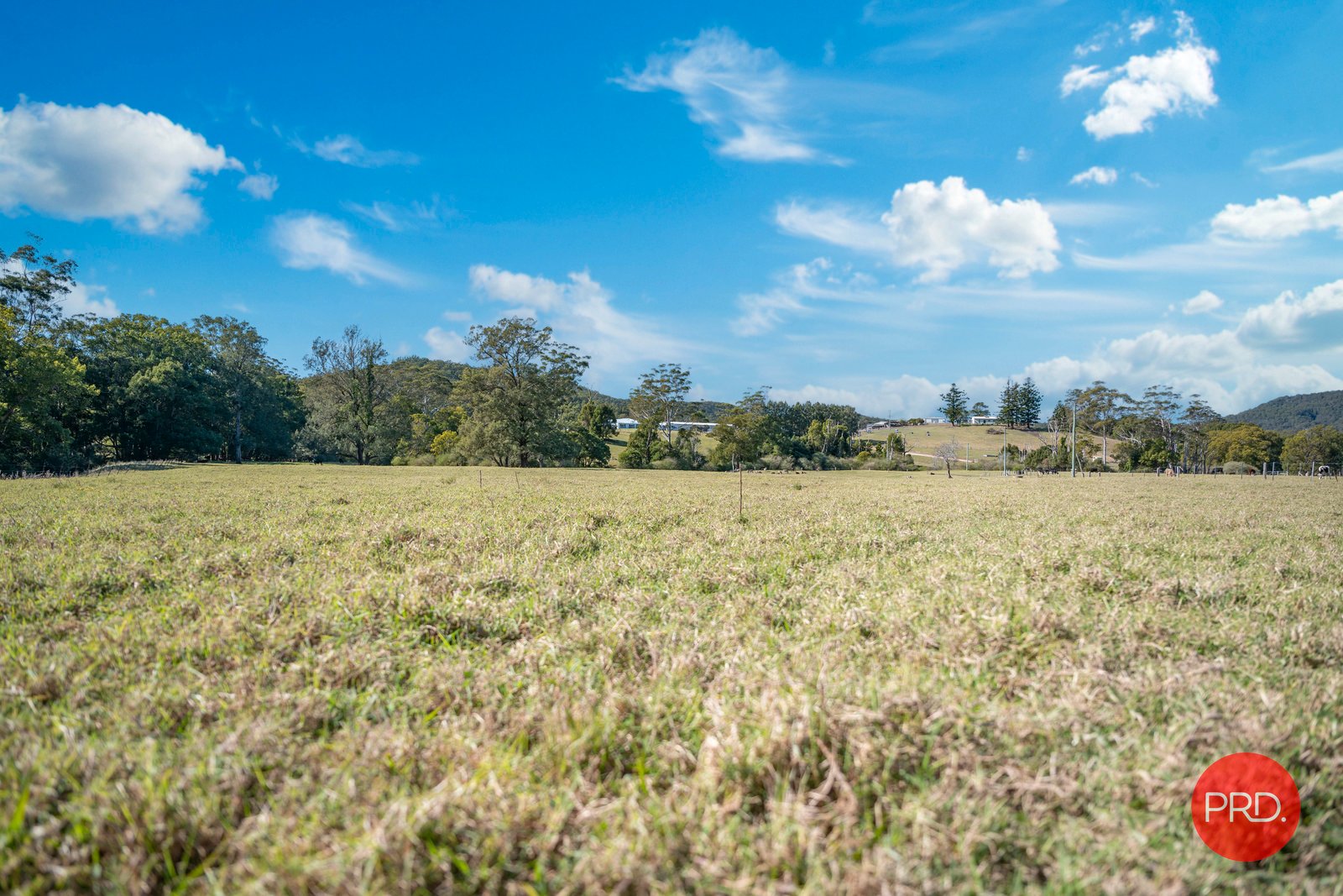 441 Eastbank Road CORAMBA 19