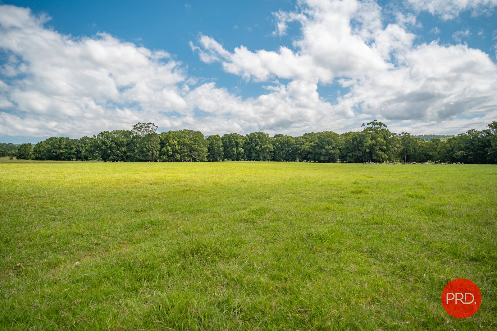 441 Eastbank Road CORAMBA 25