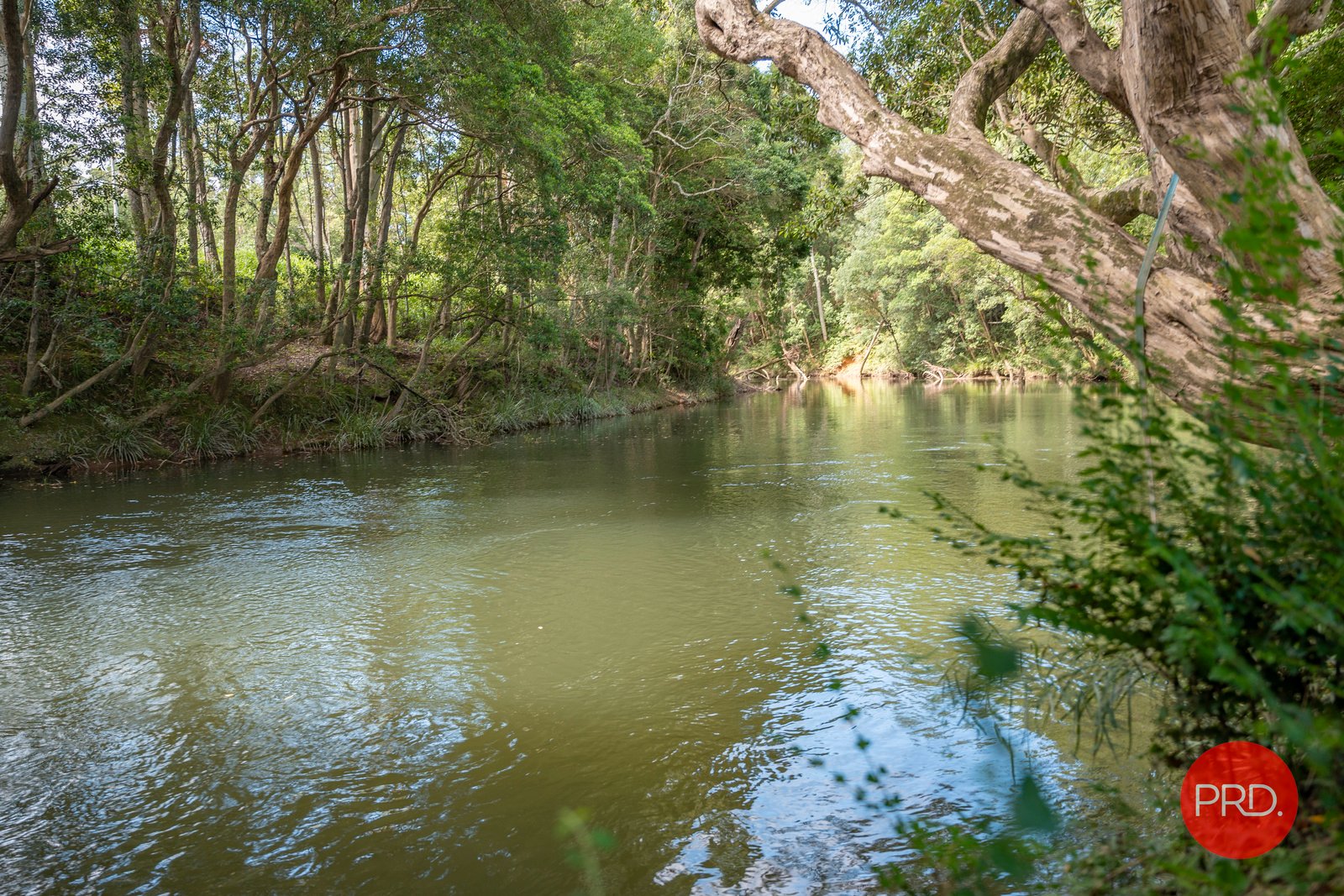 441 Eastbank Road CORAMBA 28