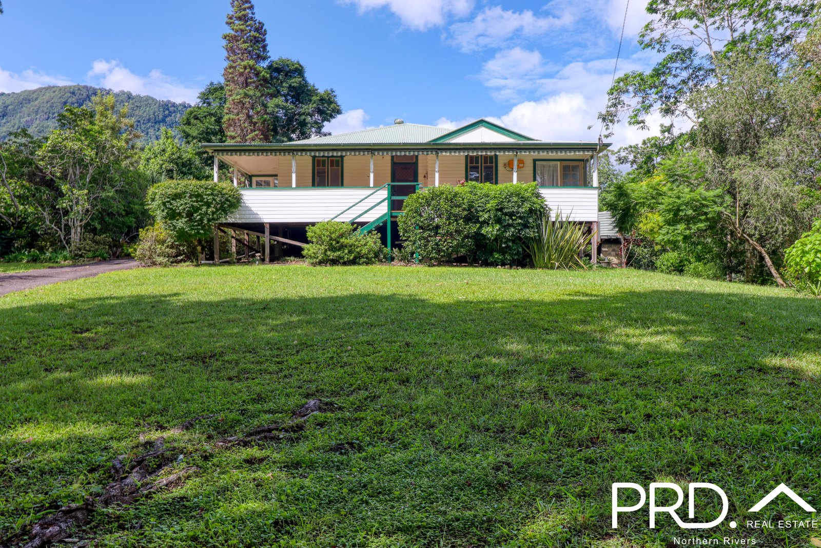 442 Blue Knob Road NIMBIN 1