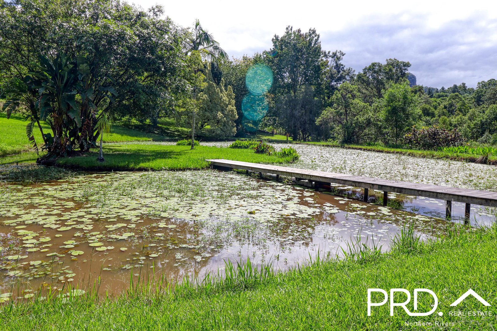 442 Blue Knob Road NIMBIN 15