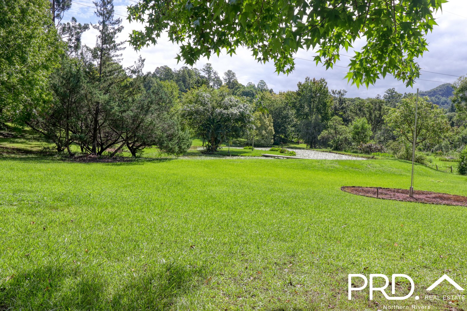442 Blue Knob Road NIMBIN 16