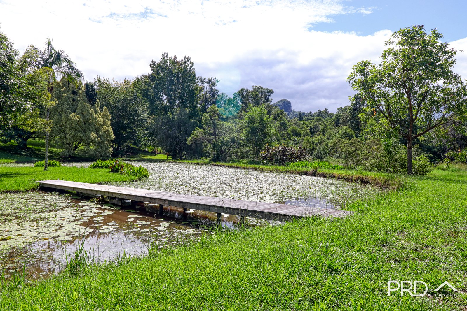 442 Blue Knob Road NIMBIN 2