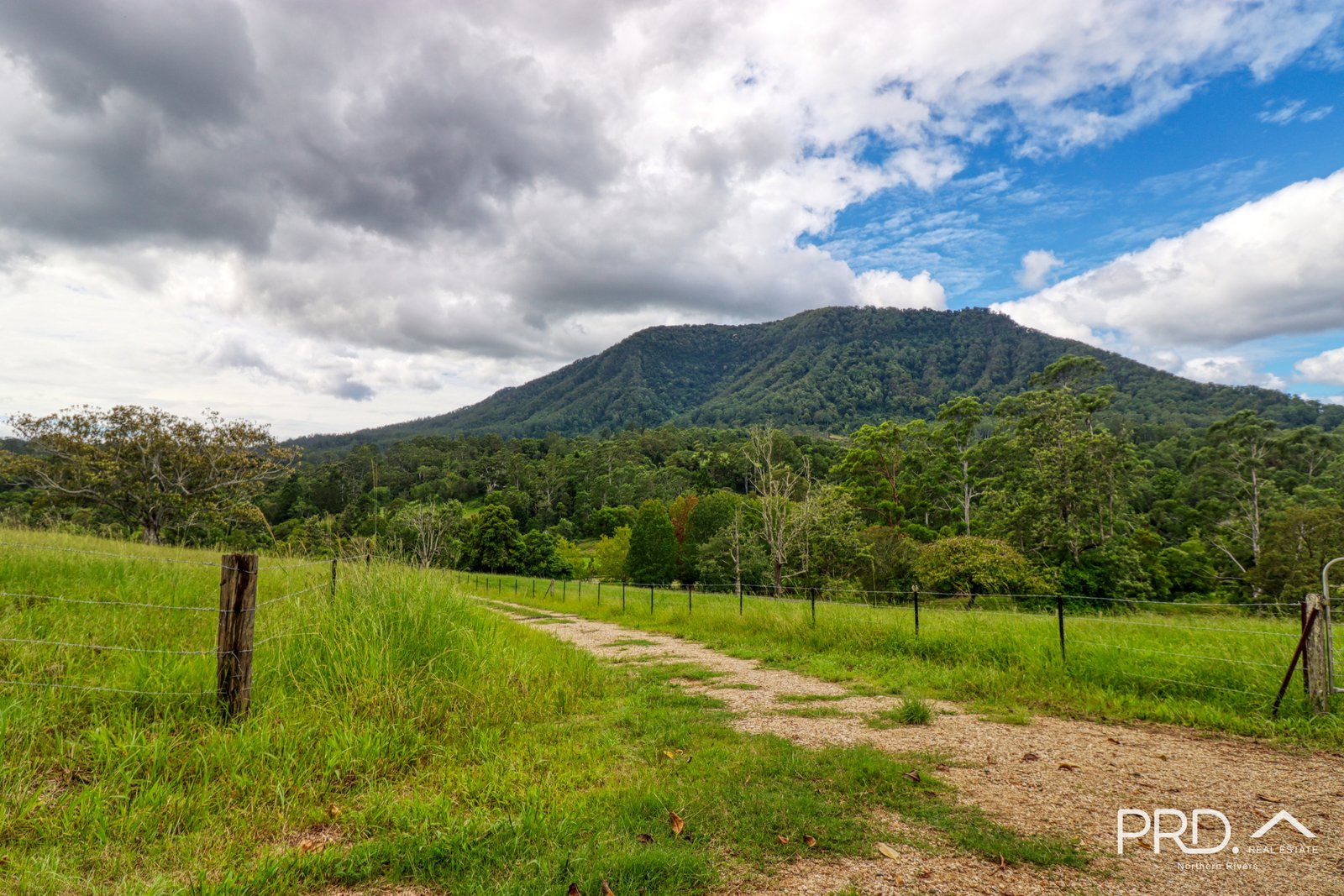 442 Blue Knob Road NIMBIN 3