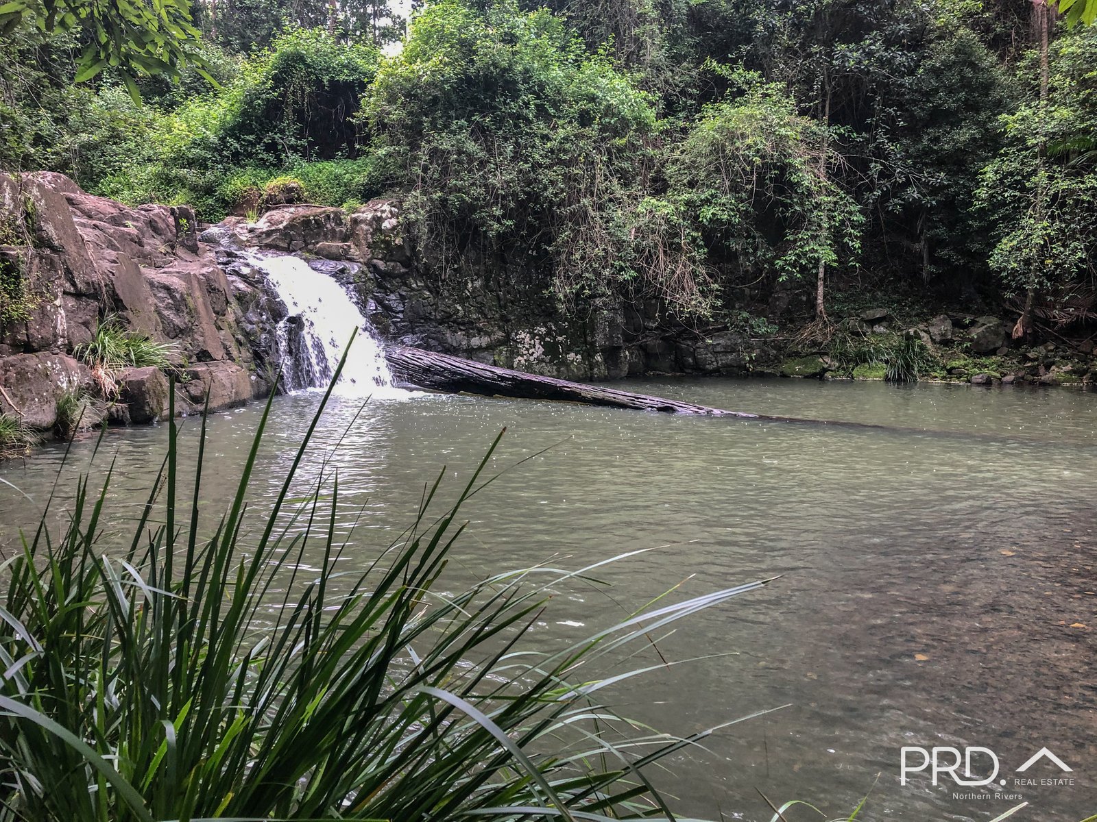 442 Blue Knob Road NIMBIN 5