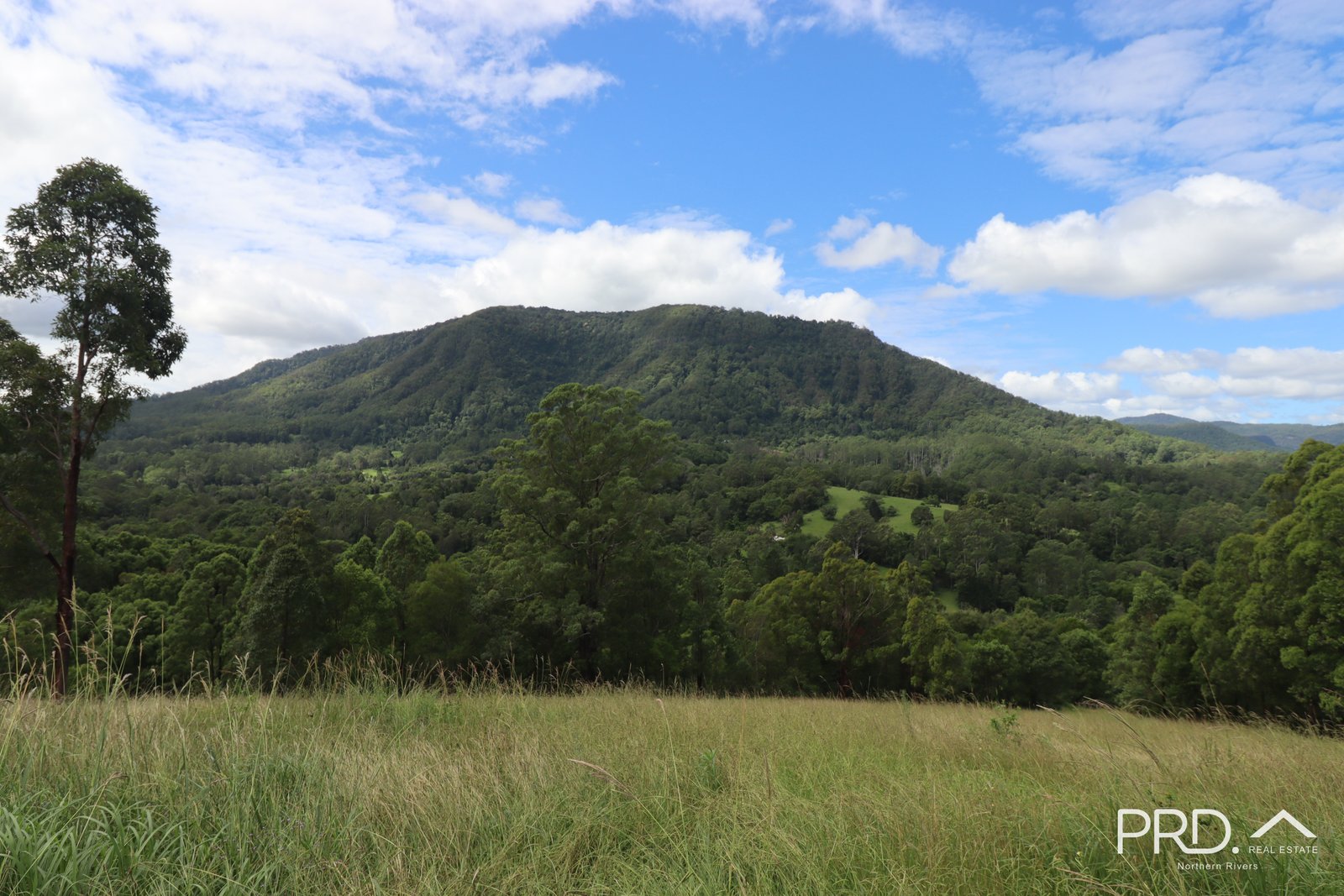 442 Blue Knob Road NIMBIN 23