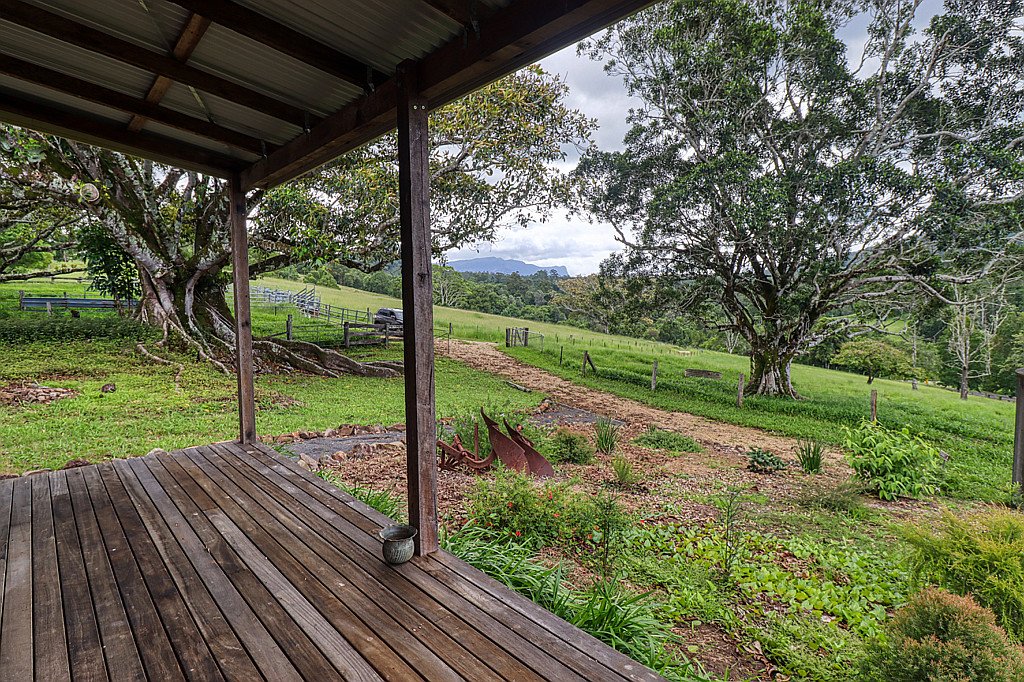 442A Blue Knob Road BLUE KNOB 6