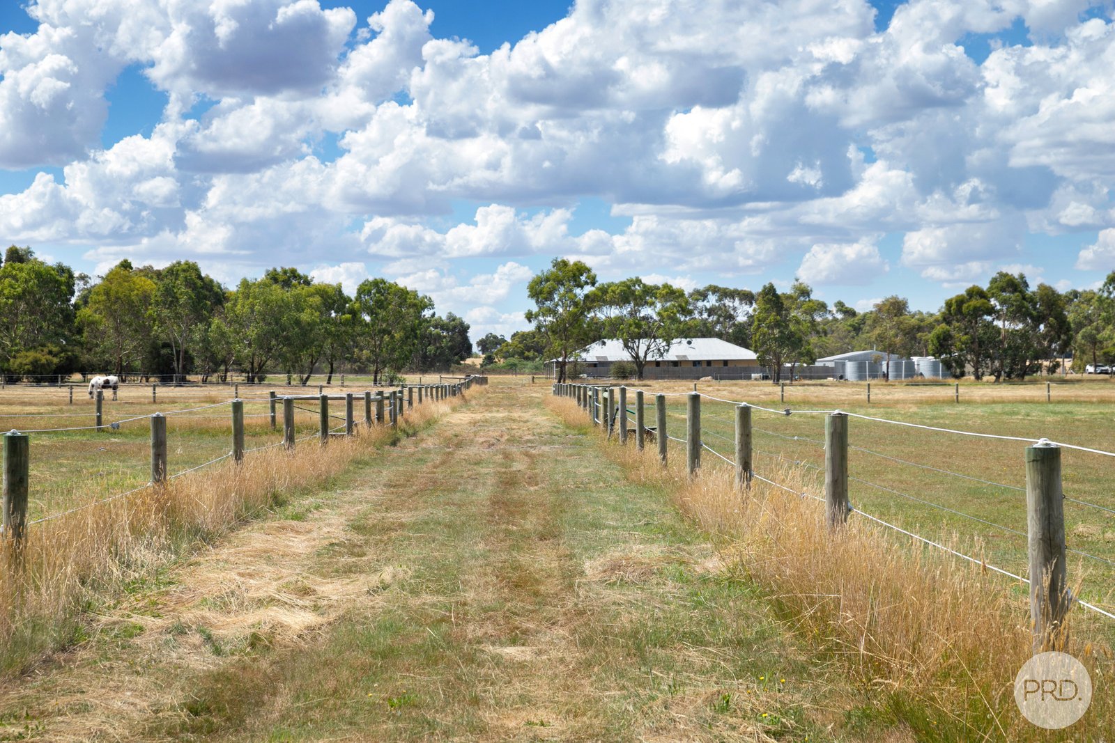 443 Brays Road ROSS CREEK 16