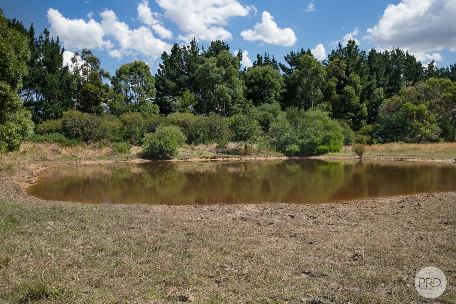 443 Brays Road ROSS CREEK 17