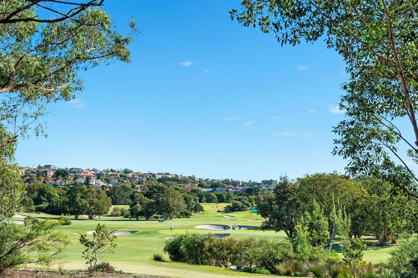 44/355-357 Old South Head Road NORTH BONDI 13