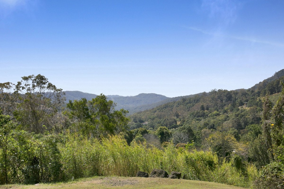 445 Petsch Creek Road Tallebudgera Valley 24
