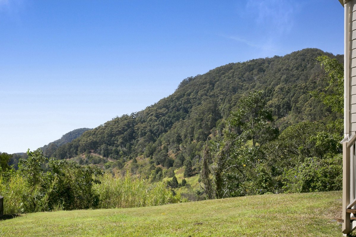 445 Petsch Creek Road Tallebudgera Valley 28