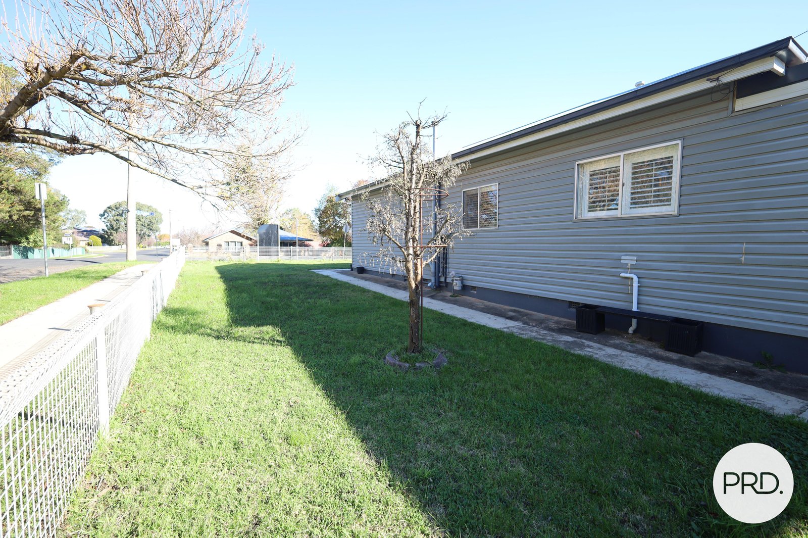 445 Summer Street ORANGE 19
