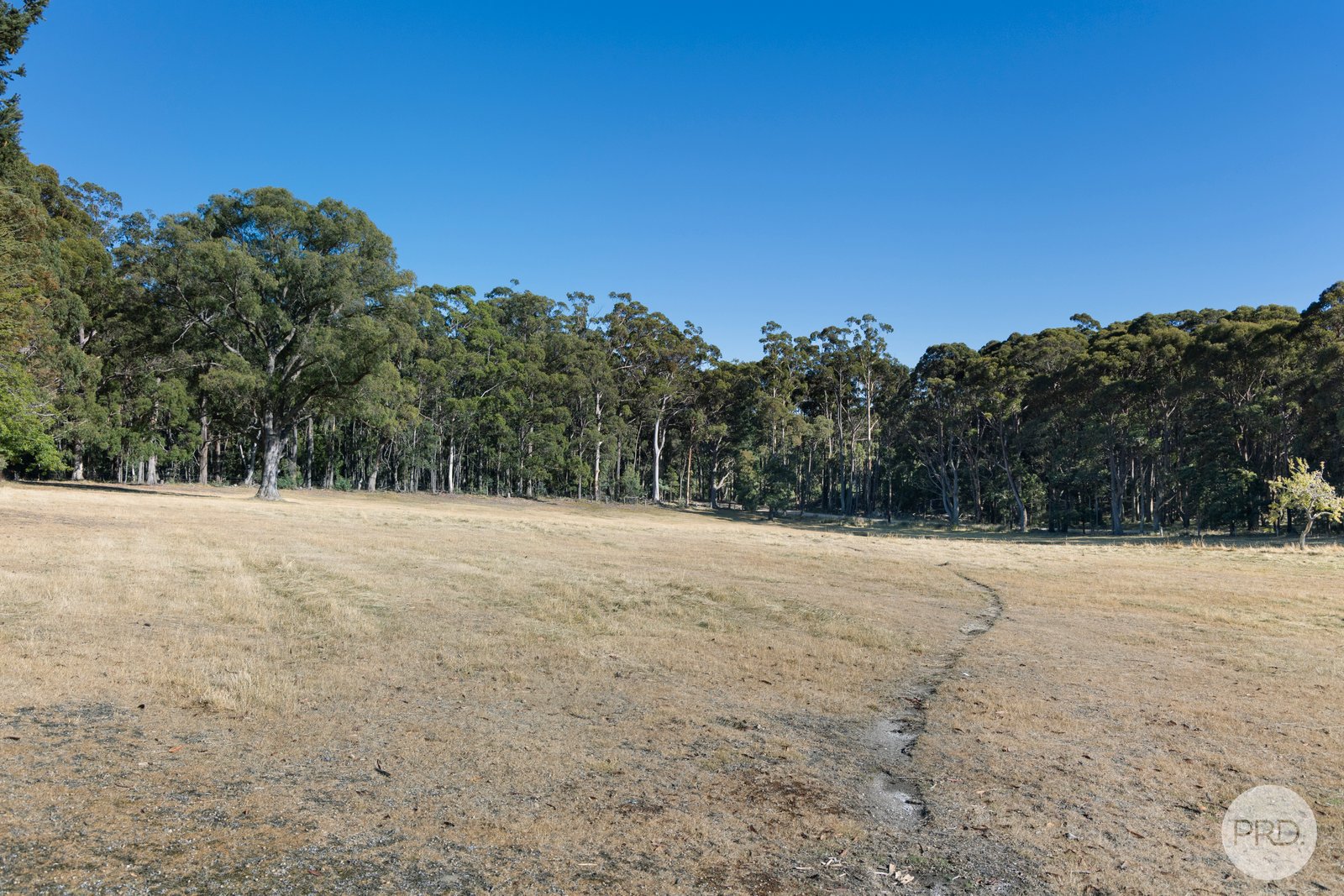 446 Dean-Barkstead Road ROCKLYN 17