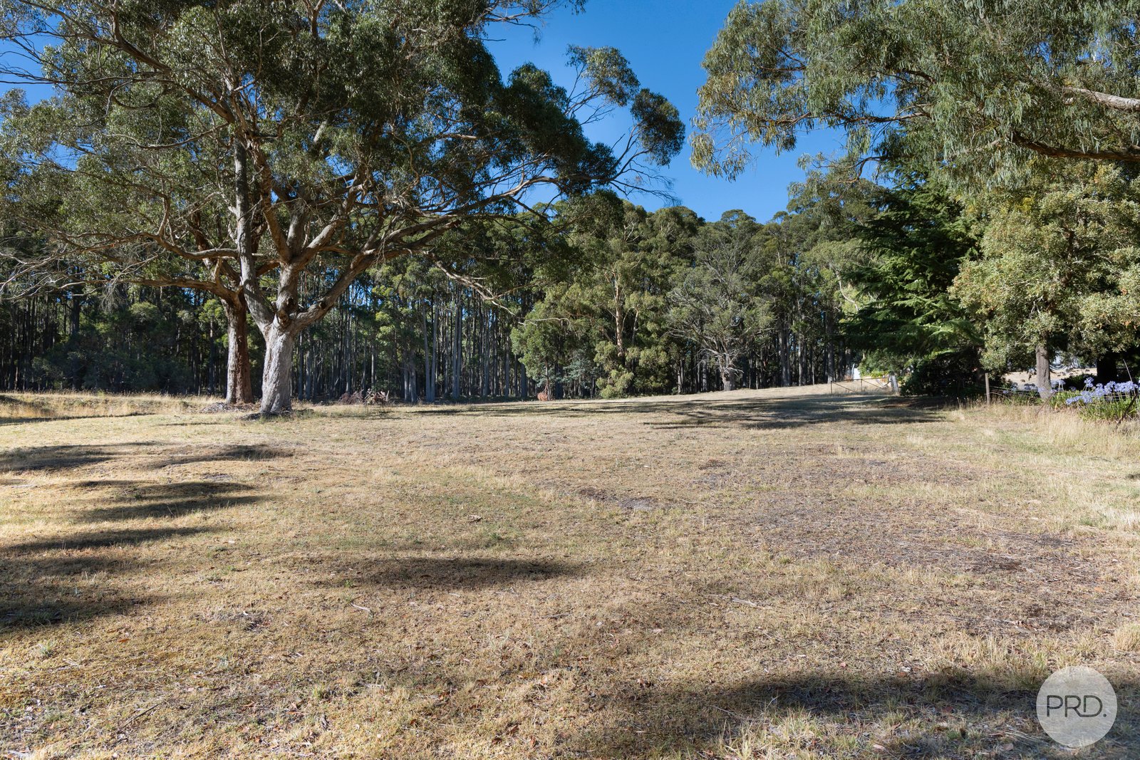 446 Dean-Barkstead Road ROCKLYN 19