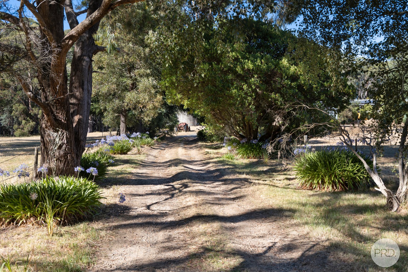 446 Dean-Barkstead Road ROCKLYN 20