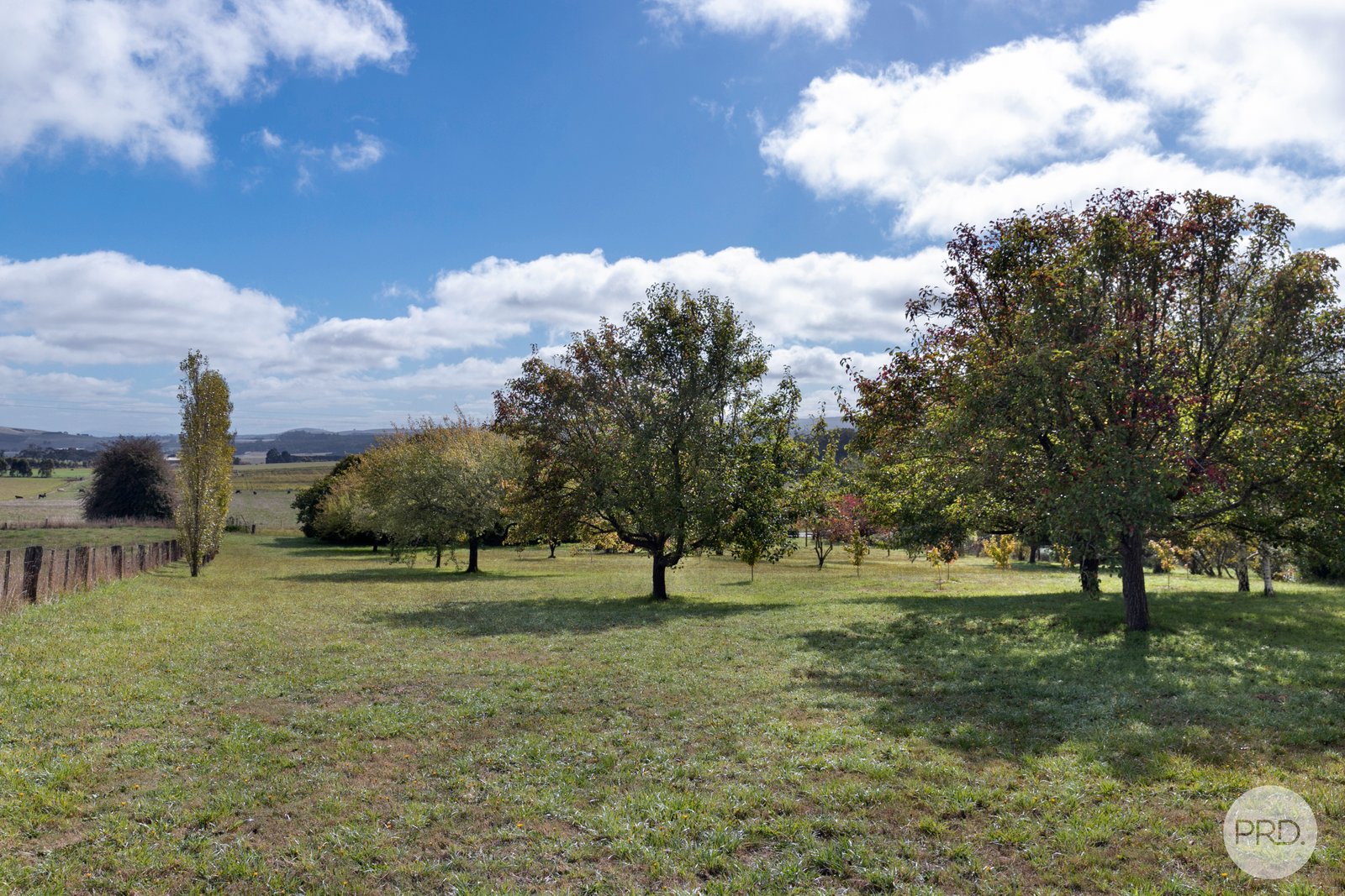 446 Dean-Mollongghip Road MOLLONGGHIP 18