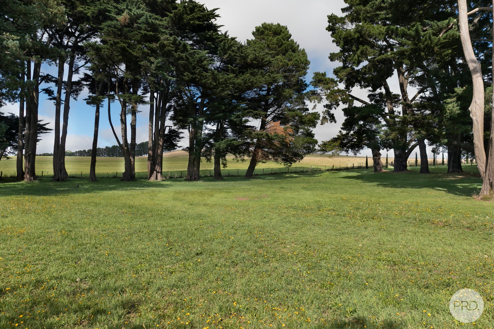 446 Dean-Mollongghip Road MOLLONGGHIP 19