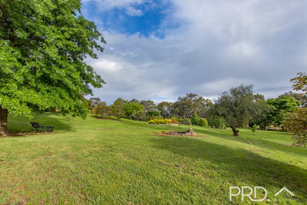 447 Lacmalac Road TUMUT 21