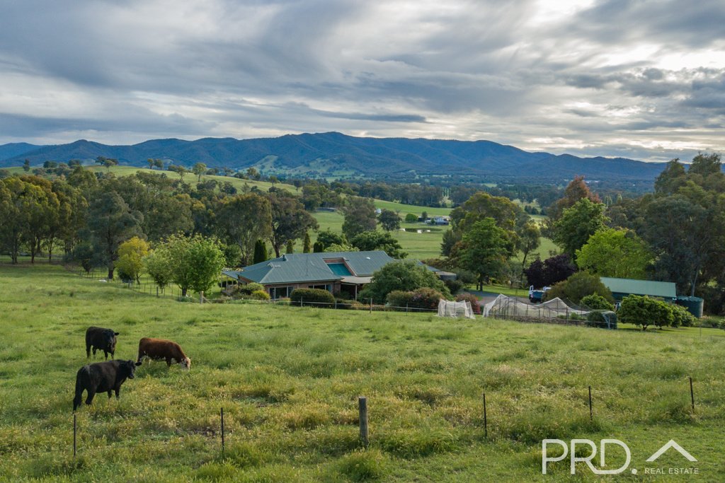 447 Lacmalac Road TUMUT 23