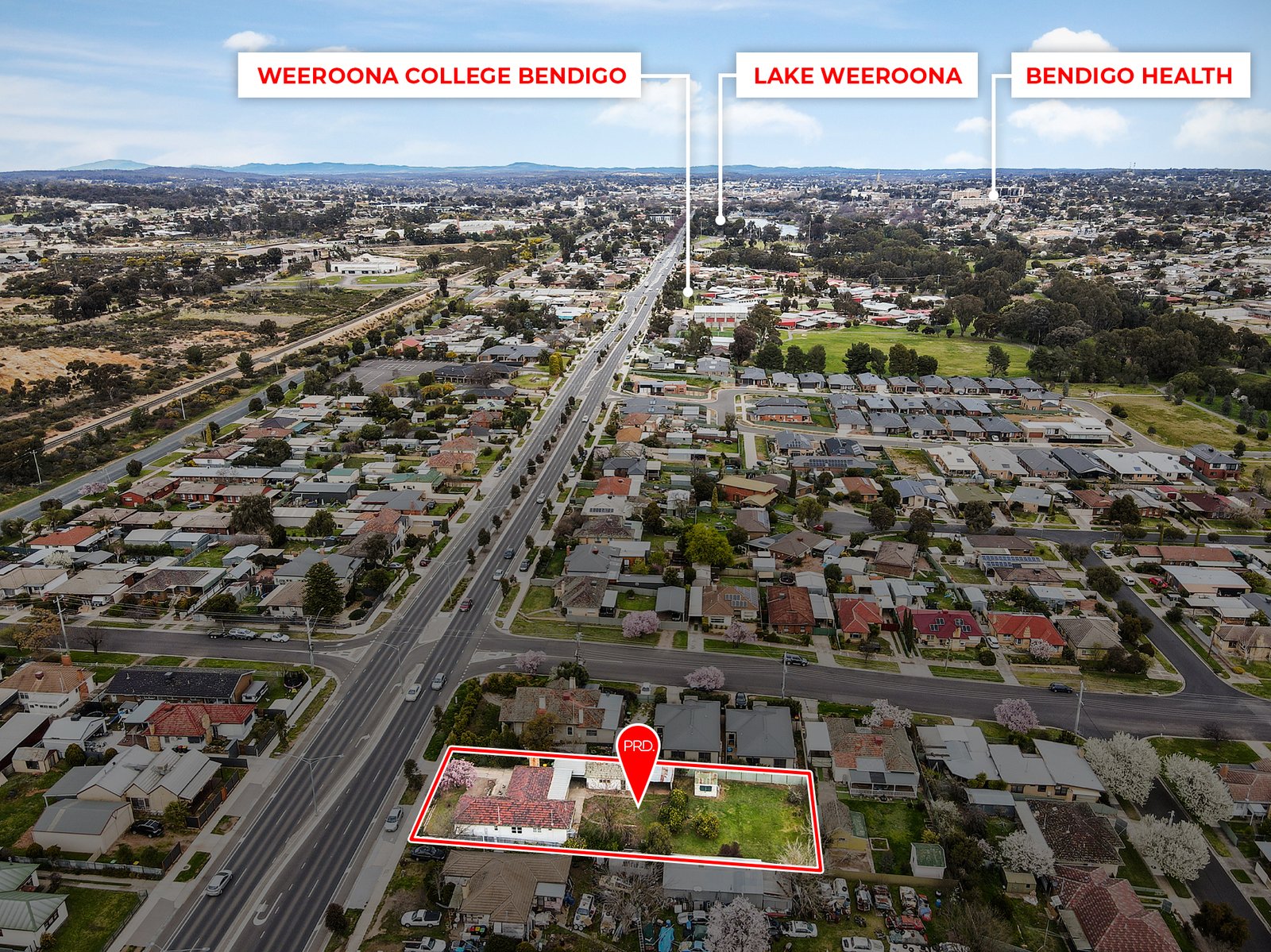 447 Napier Street WHITE HILLS 1