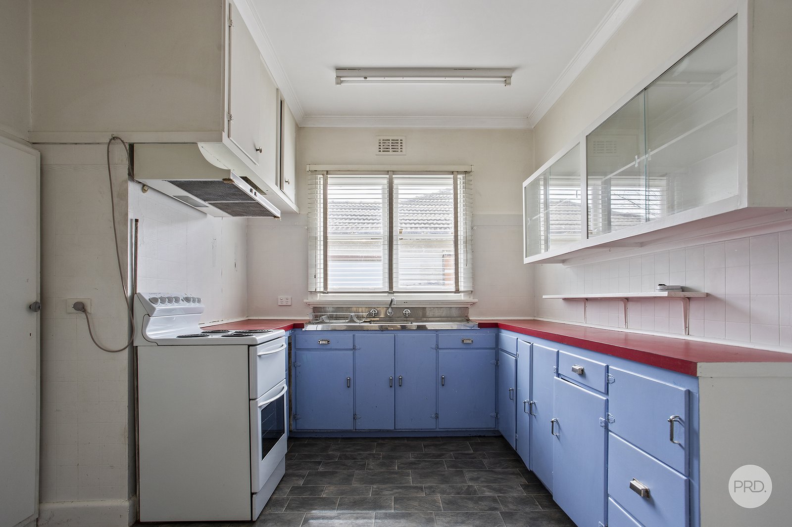 447 Napier Street WHITE HILLS 6