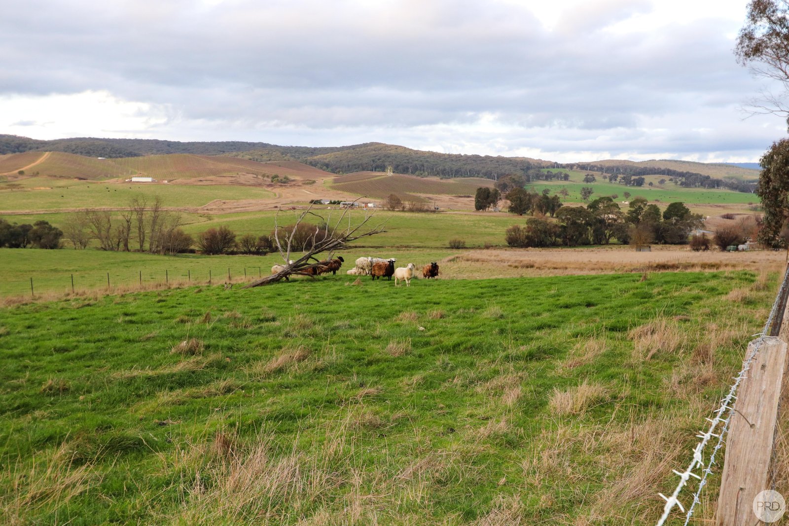 448 Tumbarumba Road TUMBARUMBA 15