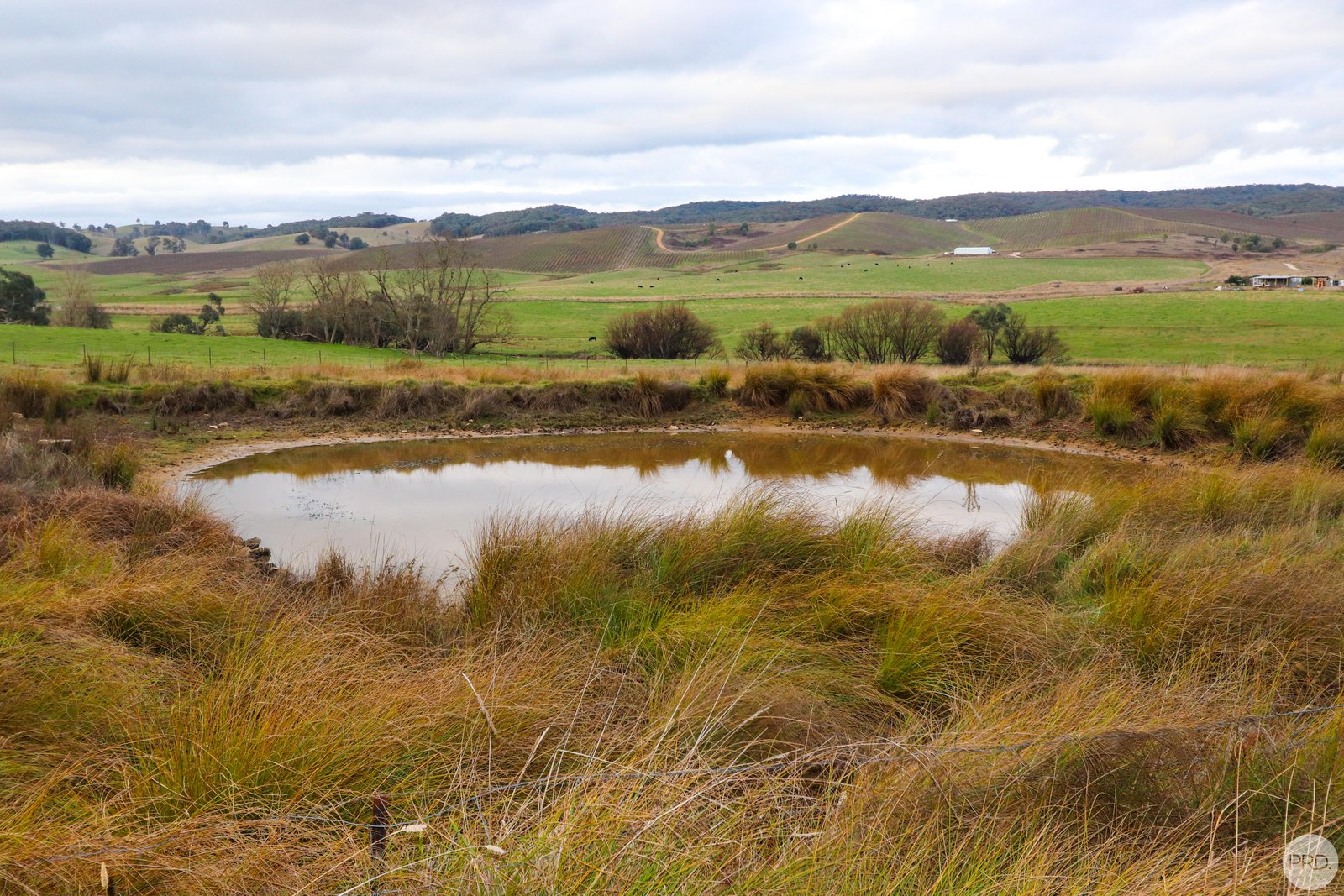 448 Tumbarumba Road TUMBARUMBA 16