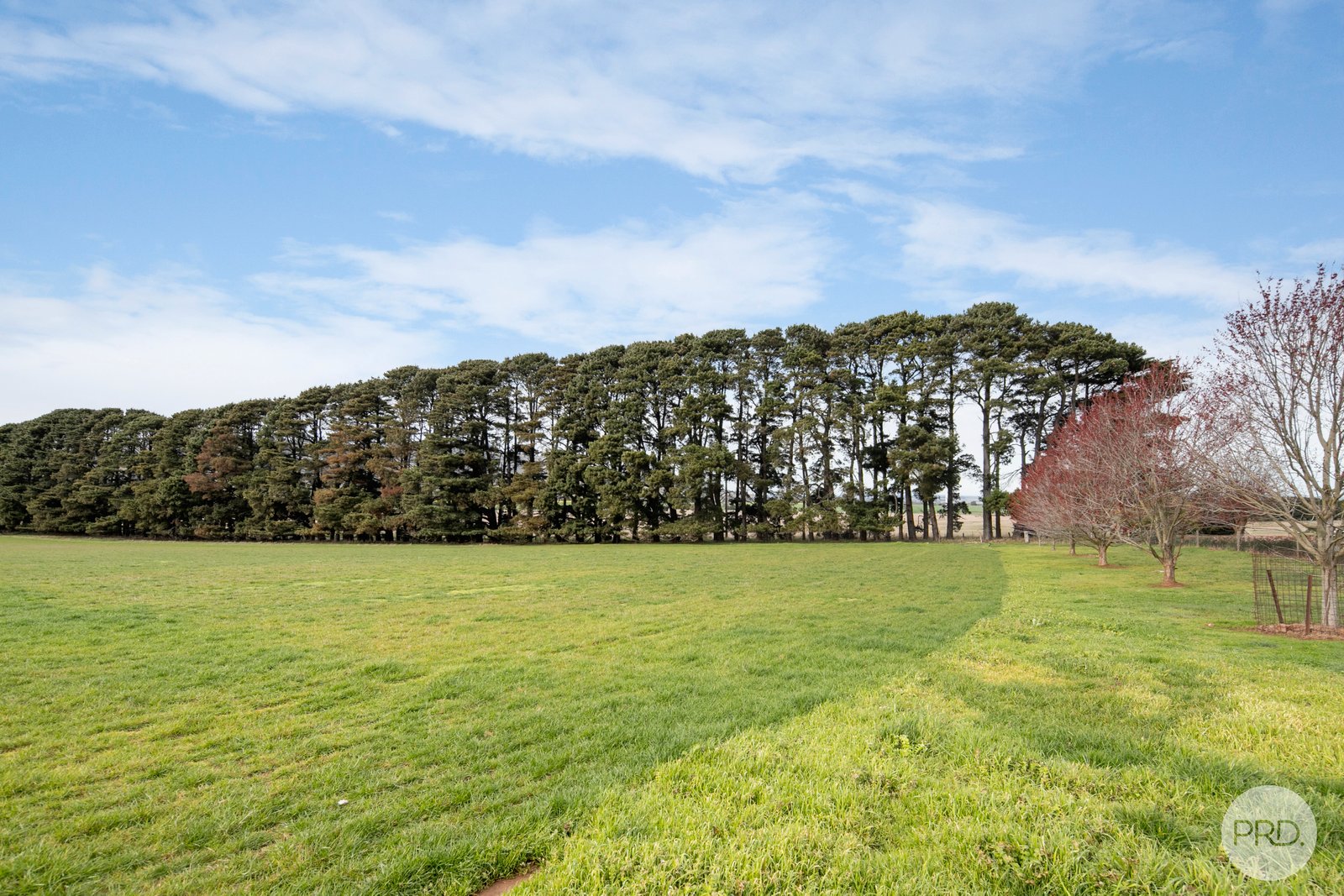 449 Beaufort-Waubra Road GLENBRAE 19