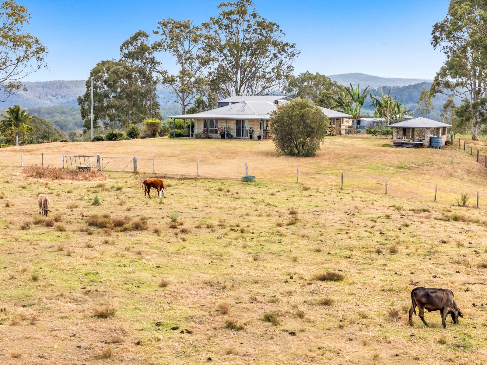 4498 Bruxner Highway PIORA 25