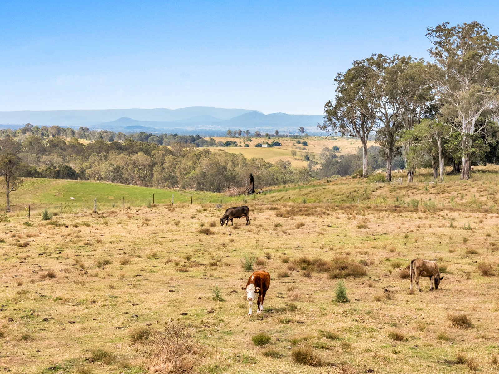 4498 Bruxner Highway PIORA 27