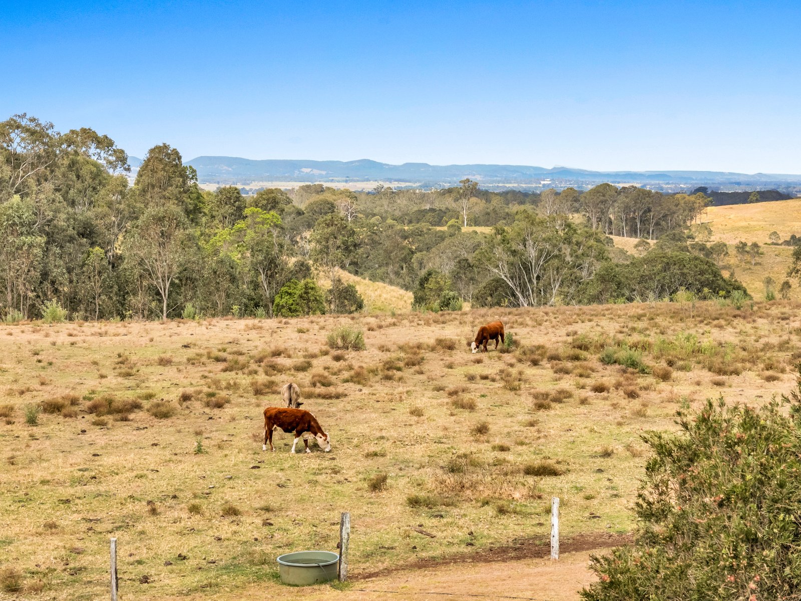 4498 Bruxner Highway PIORA 29