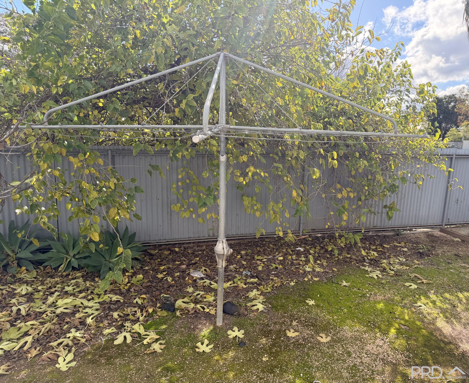 4/5-7 Cameron Avenue MILDURA 8