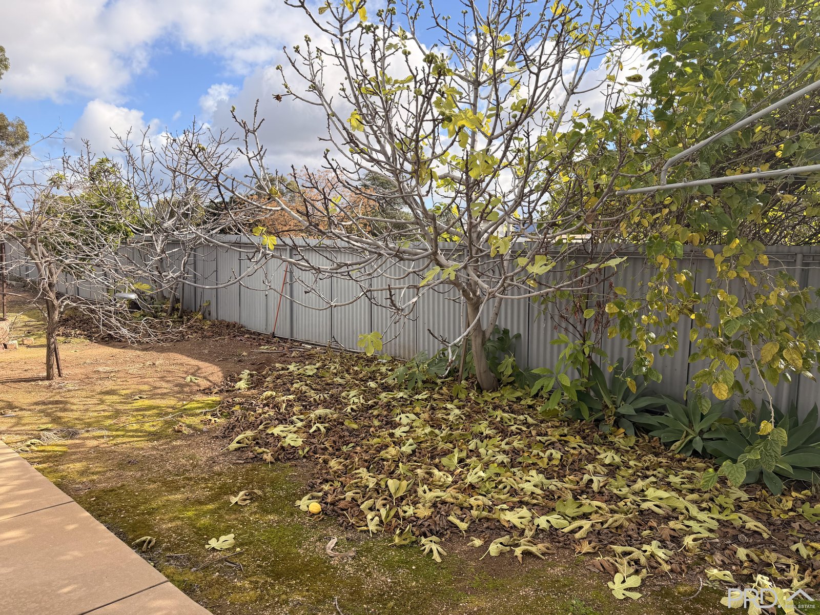 4/5-7 Cameron Avenue MILDURA 9
