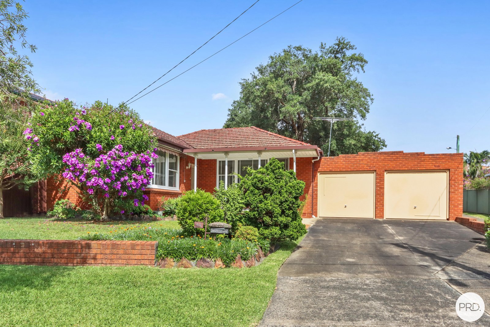 45 Caledonia Crescent PEAKHURST 1