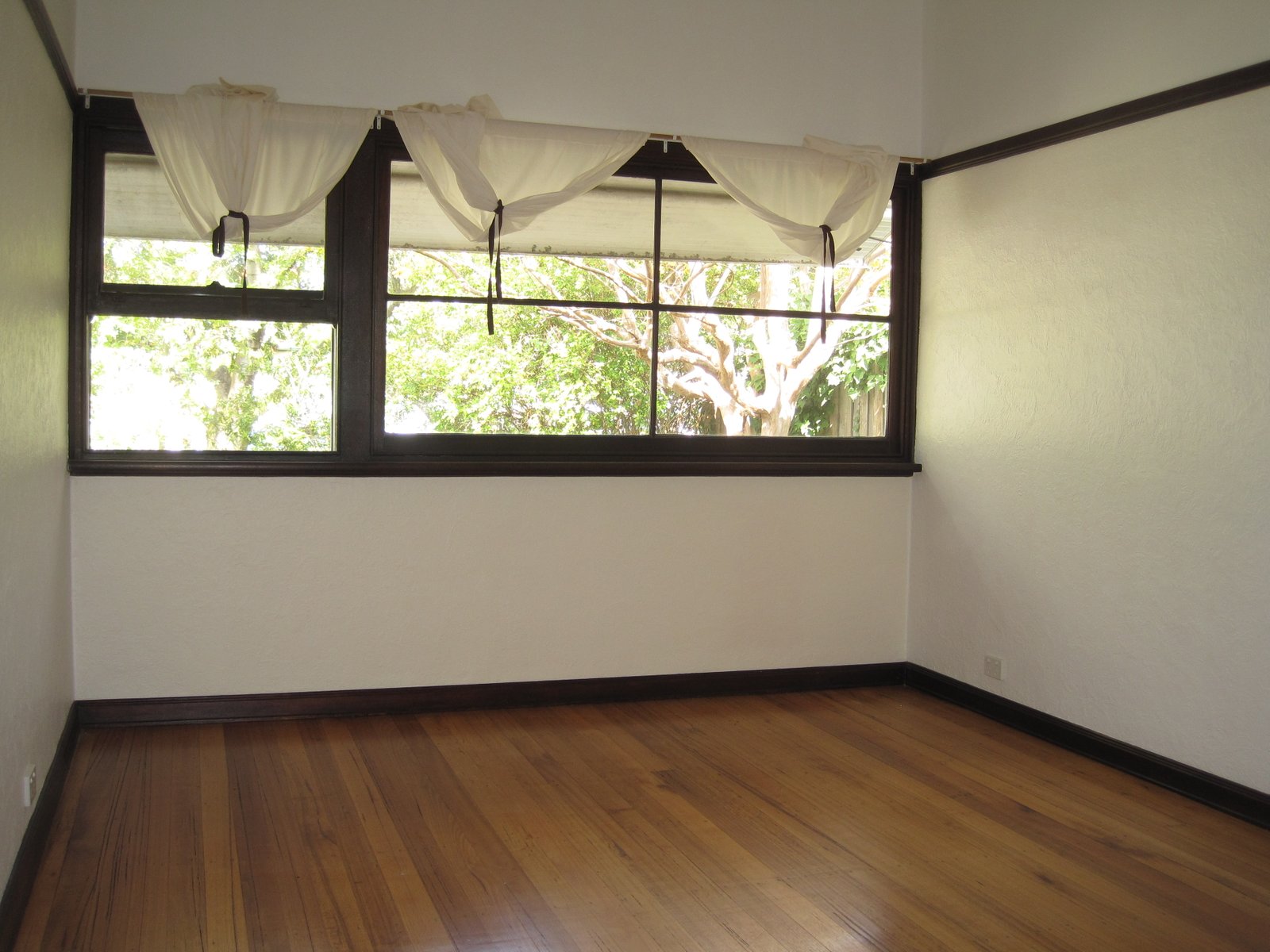 Gallery: 45 Carlton Street