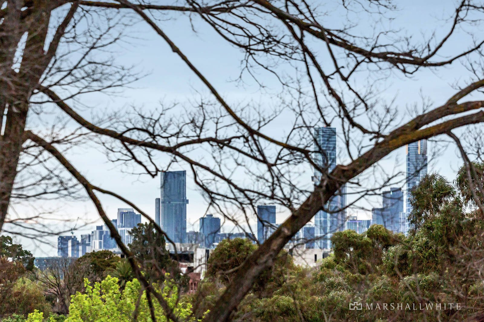 45 Coppin Grove, Hawthorn, VIC