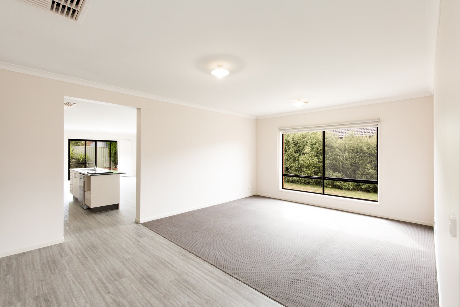 Gallery: 45 Delaney Drive