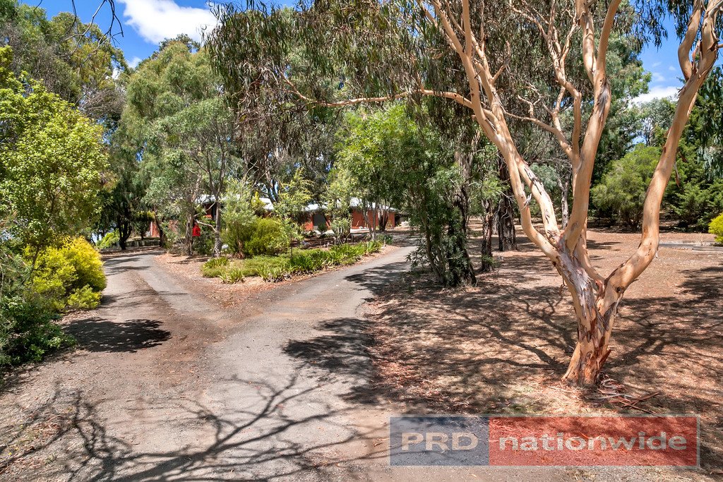 45 Heather Close SMYTHES CREEK 16