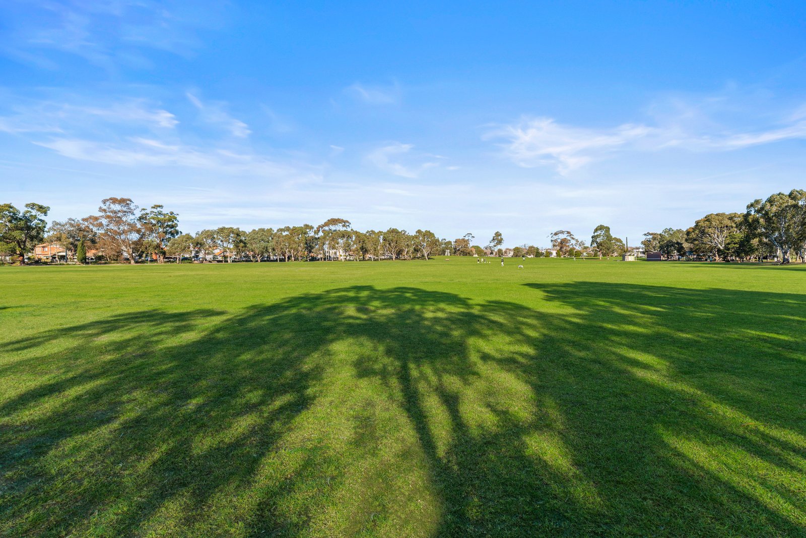 Real Estate and Property in 4/5 Joyce Street, Elwood, VIC