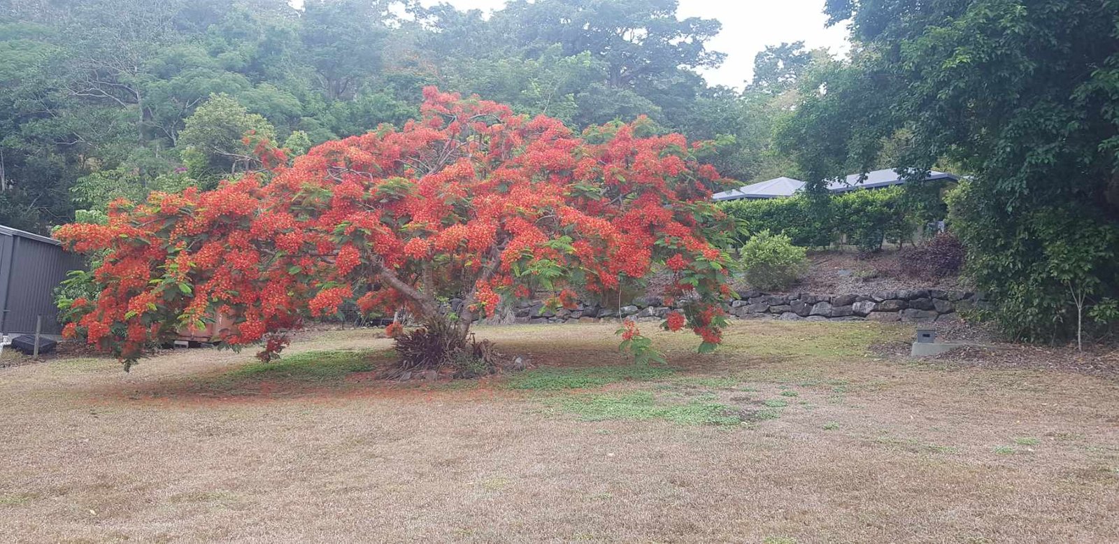 45 Kookaburra Drive CANNON VALLEY 11