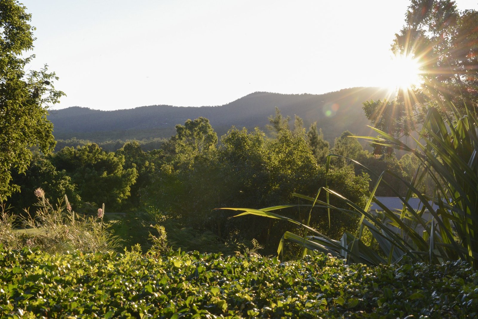 45 Kookaburra Drive CANNONVALE 16