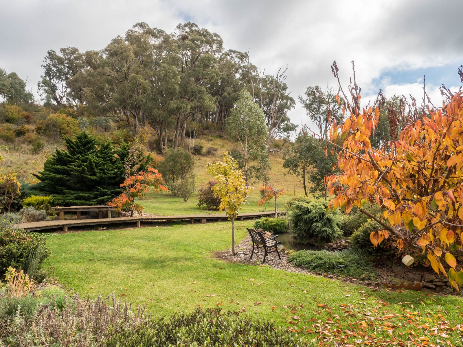 45 Mate Street TUMBARUMBA 14