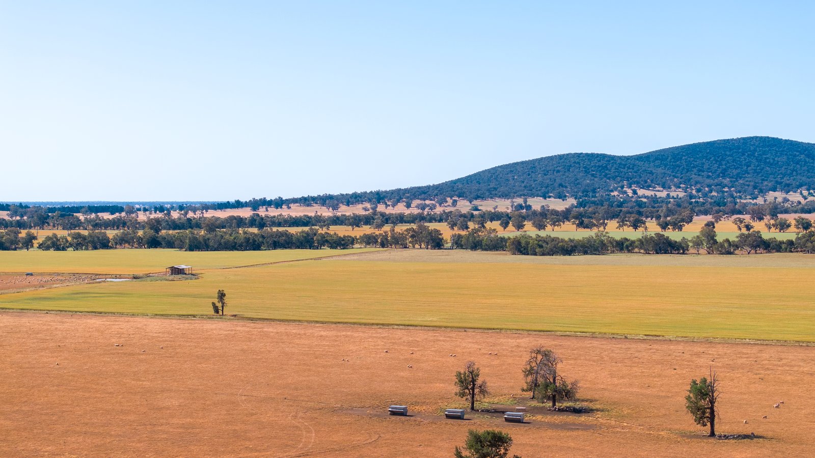 45 Plunkett Street YERONG CREEK 9