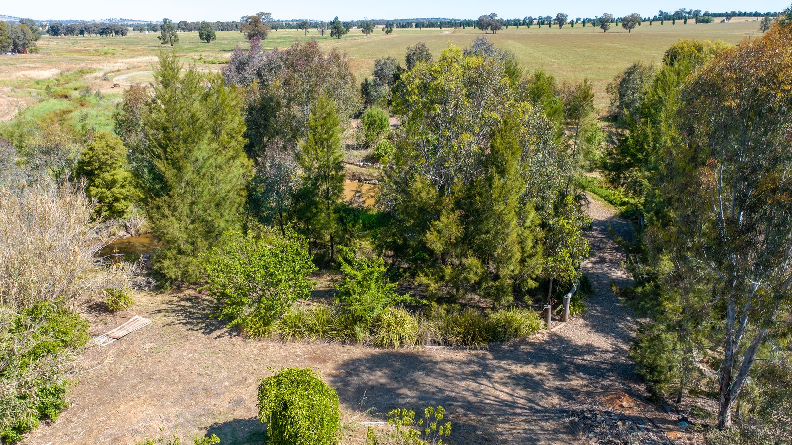 45 Plunkett Street YERONG CREEK 17