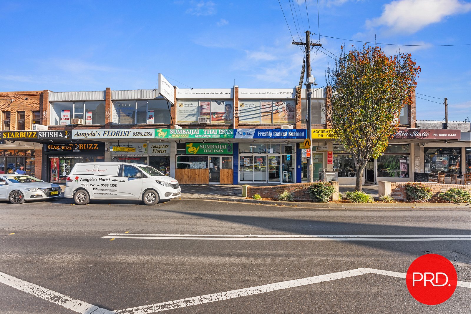 45 Railway Parade KOGARAH 9