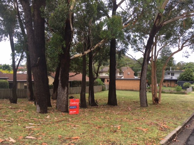 45 Rigney Street SHOAL BAY 2