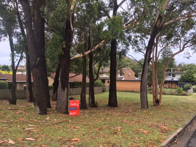 45 Rigney Street SHOAL BAY 3